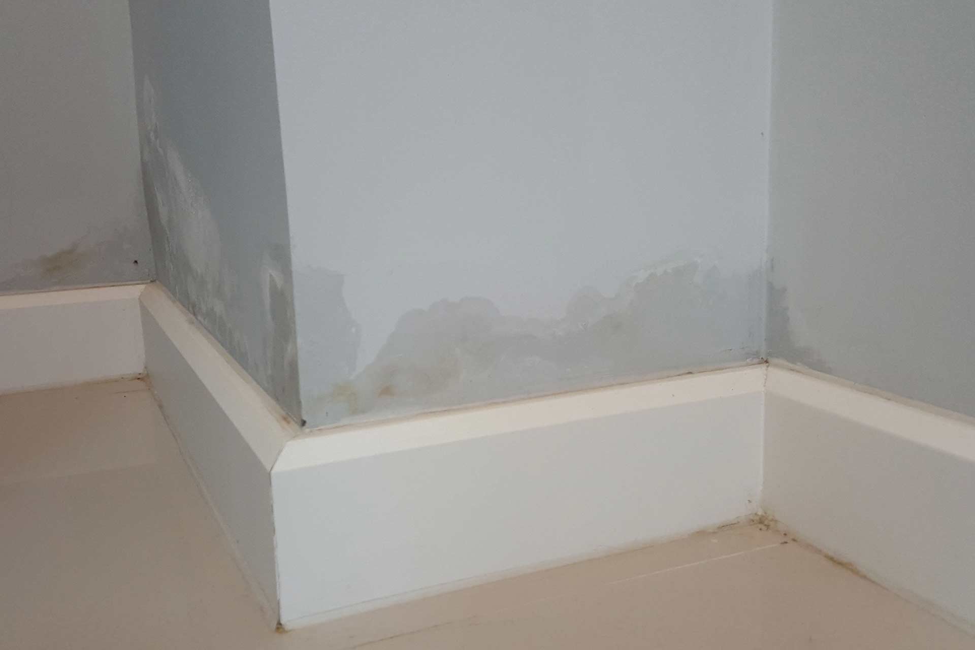 Damp Proofing 1