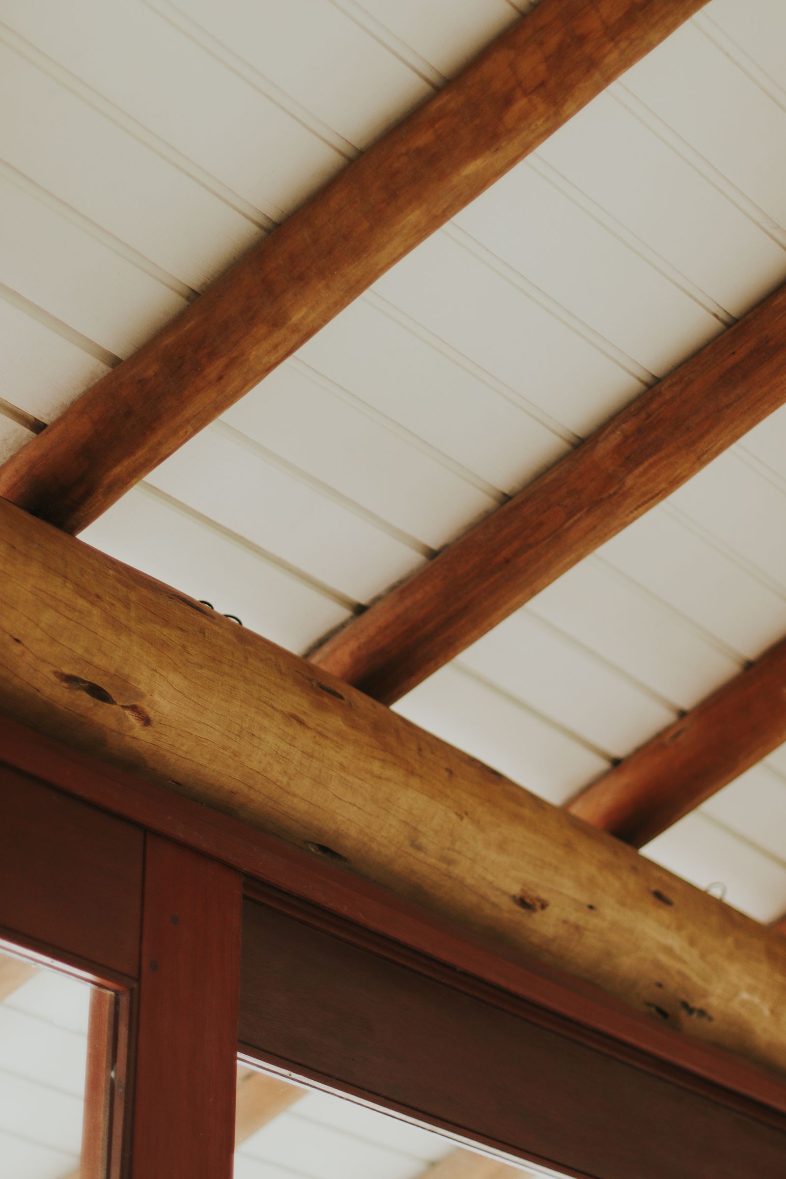 Dry Rot & Woodworm Treatment
