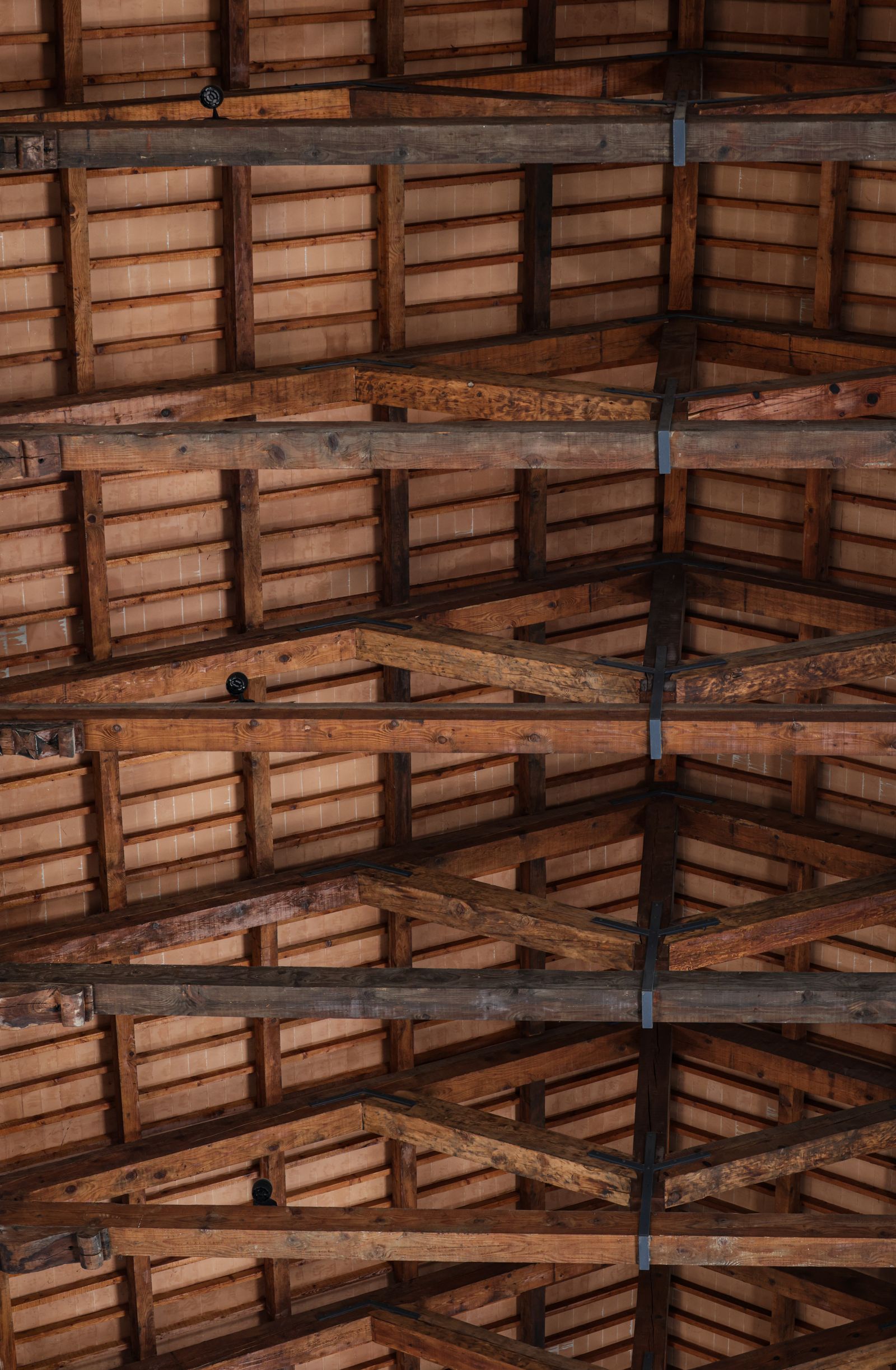 Dry Rot & Woodworm Treatment 2