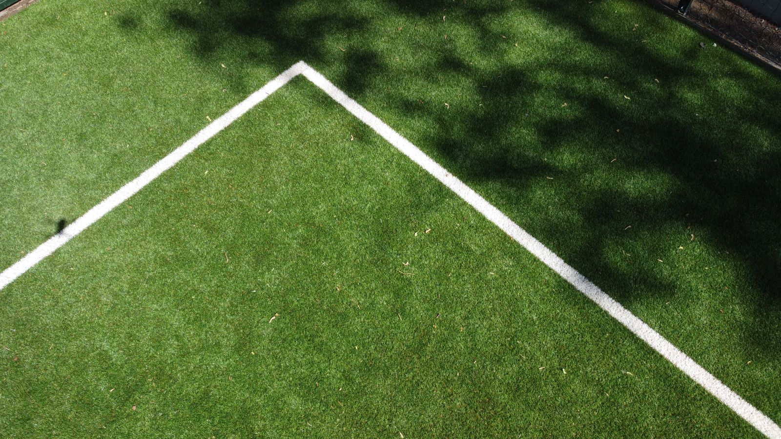 Turf & Artificial Grass 2