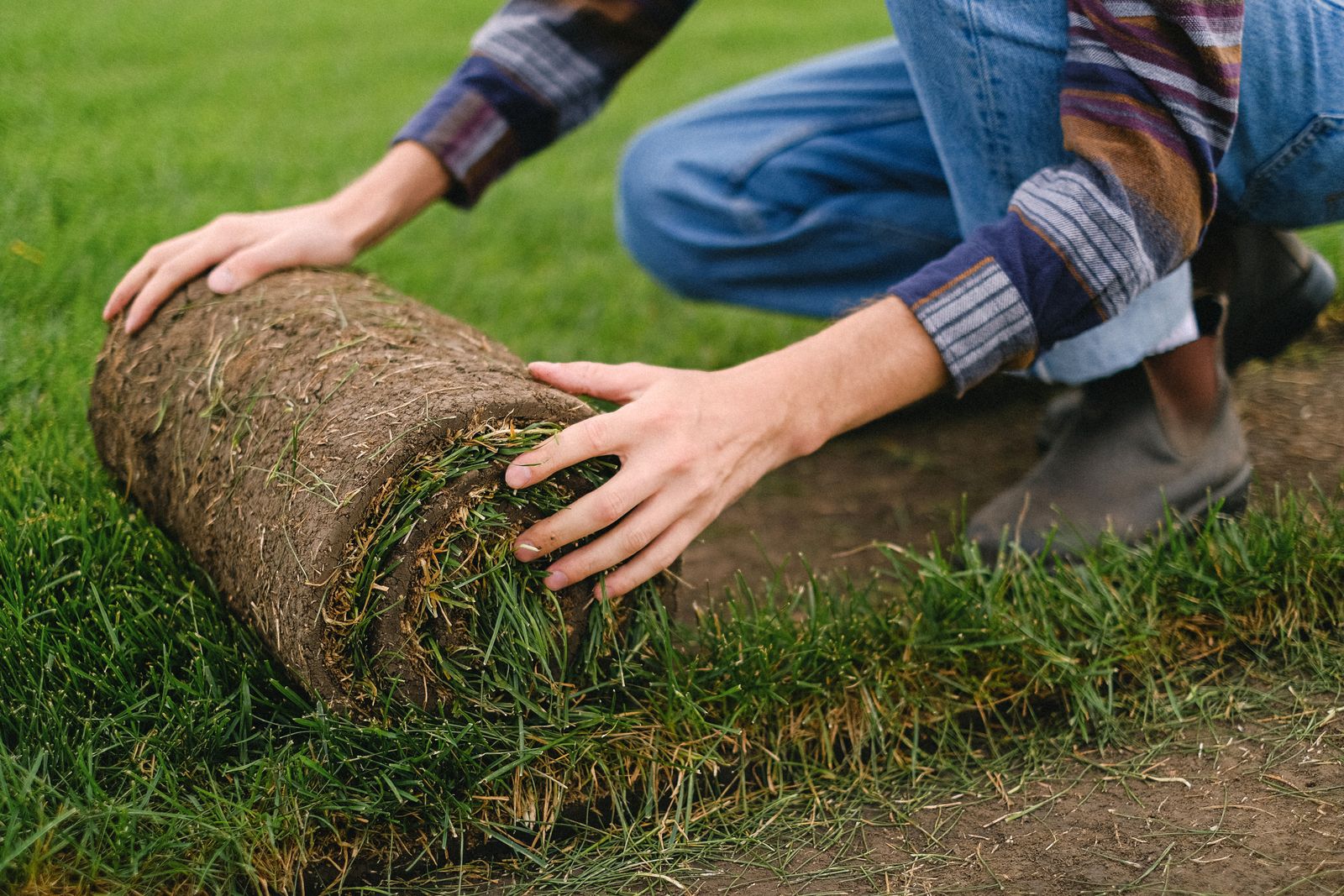 Turf & Artificial Grass 4
