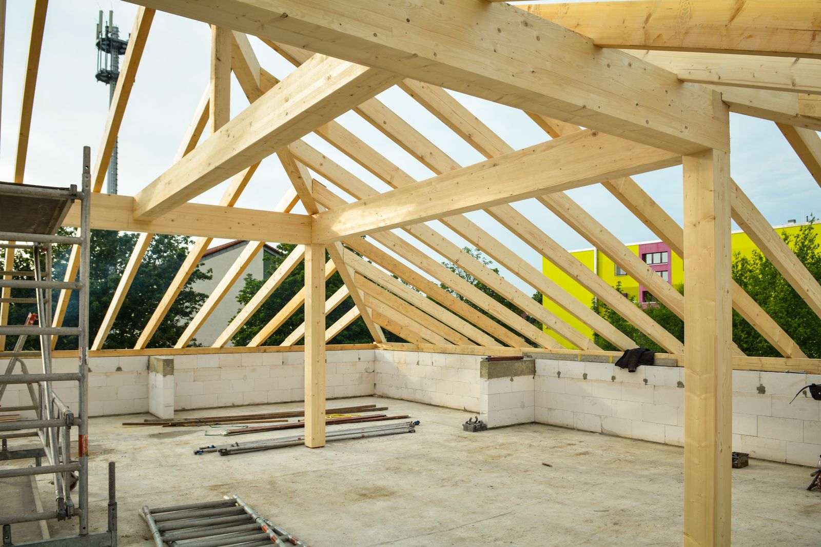 Dry Rot & Woodworm Treatment 3