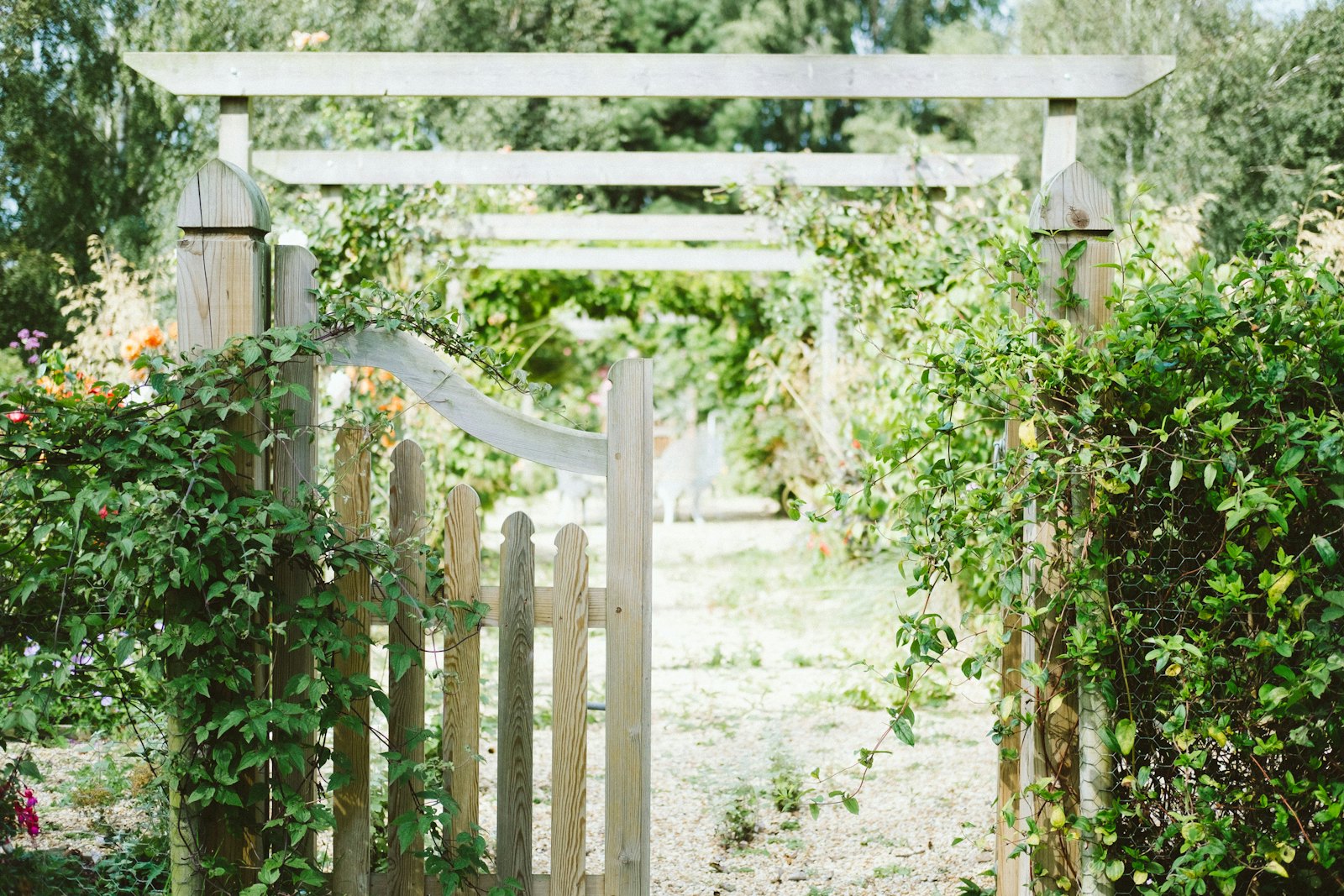 Fencing & Patio Areas 4