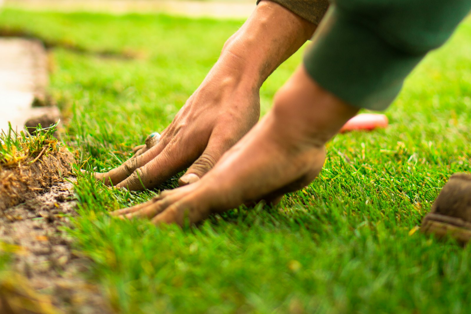 Turf & Artificial Grass 5