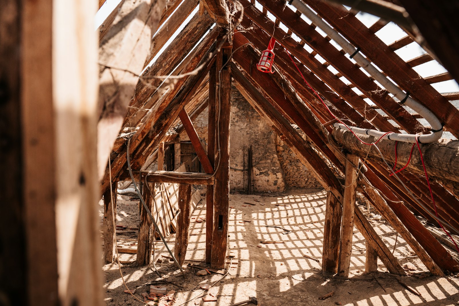Dry Rot & Woodworm Treatment 4