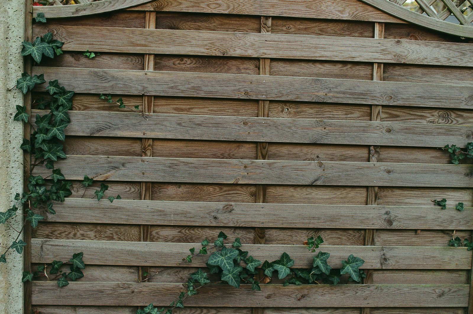 Fencing & Patio Areas 5