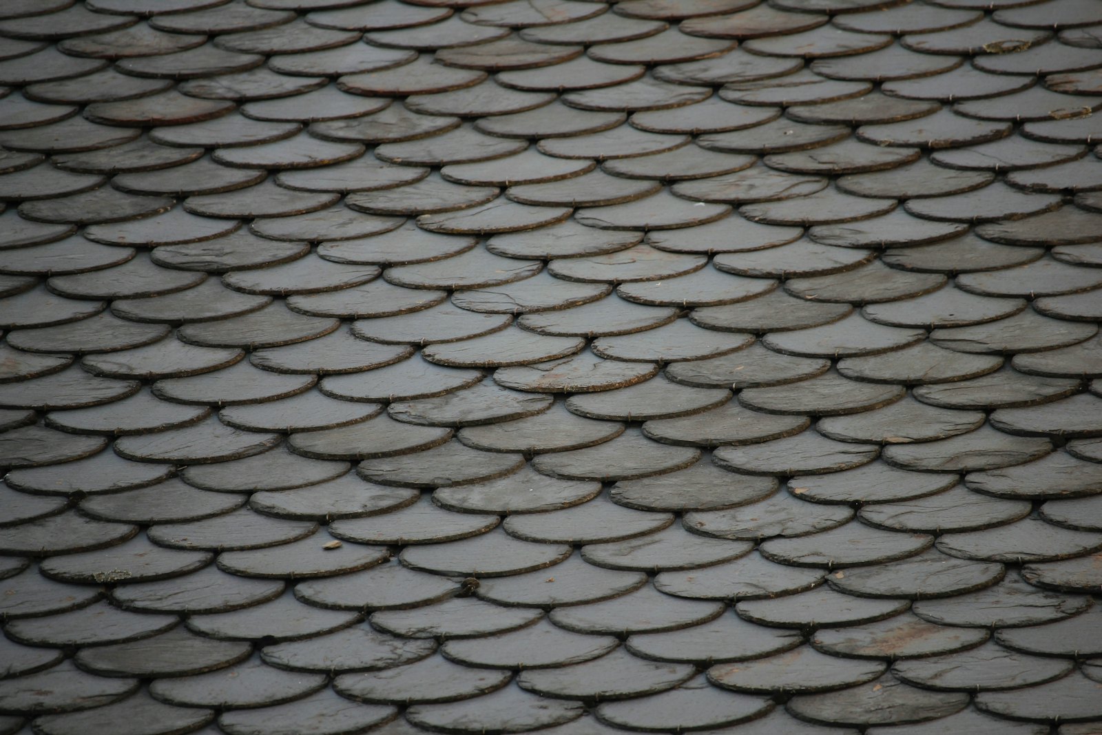 Roofing Services 4