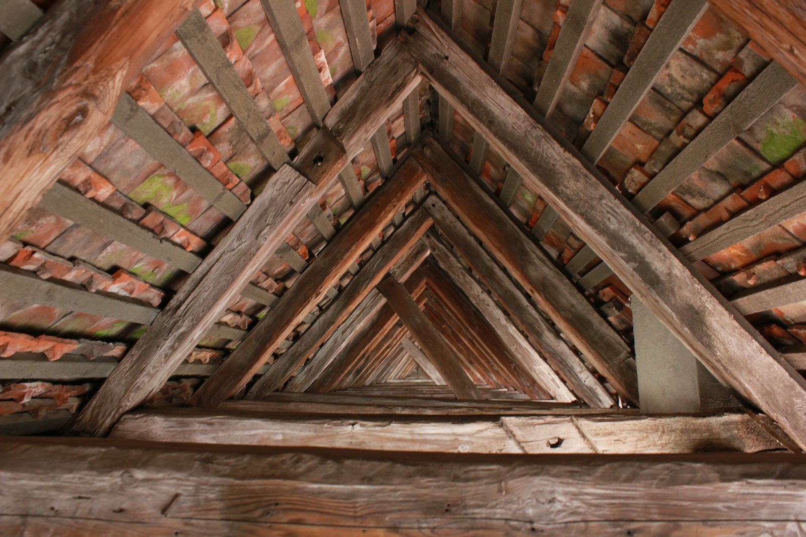 Dry Rot & Woodworm Treatment 5