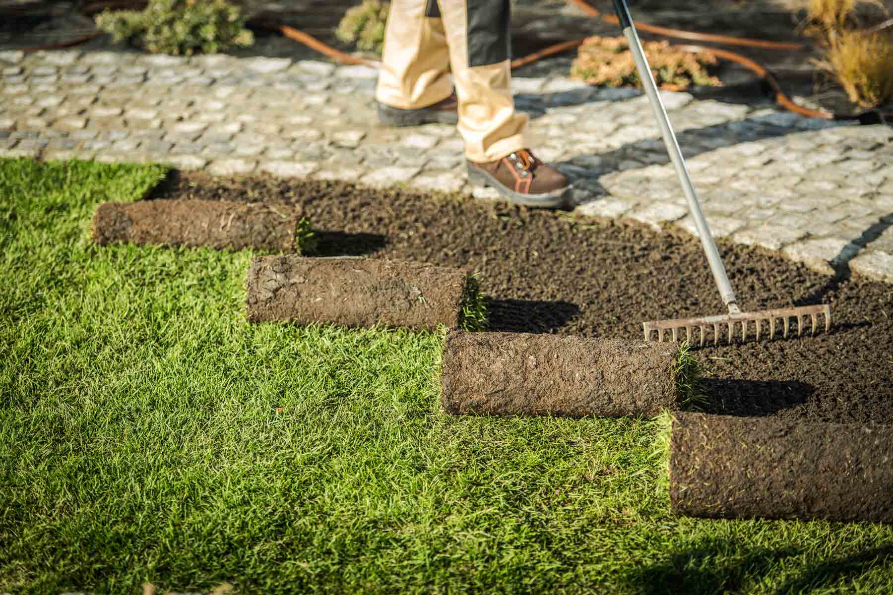 Turf & Artificial Grass