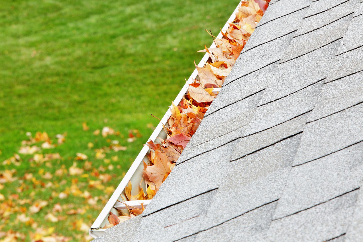 Gutter Cleaning & Repair